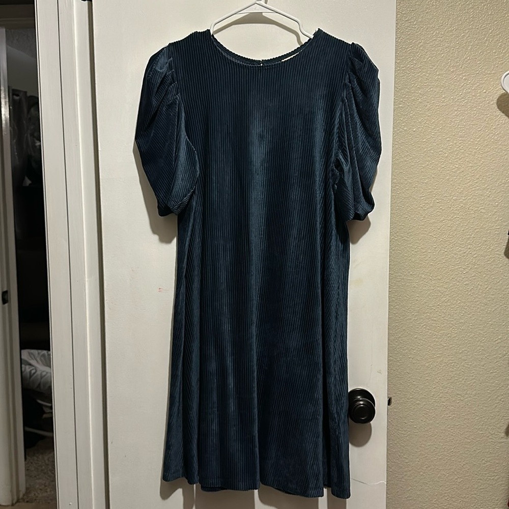 JCP Navy velvet dress